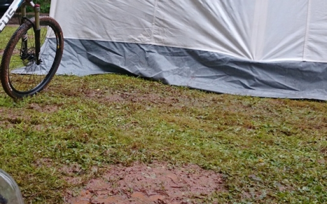 2014 Feuchtgebiet überall ...