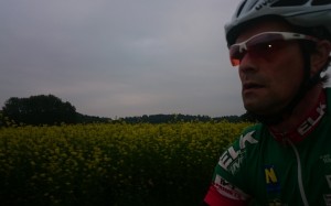 Morgens am Rapsfeld vorbei.