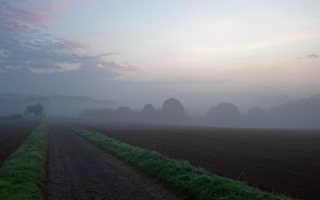 Die Landschaft liegt tief im Nebel.