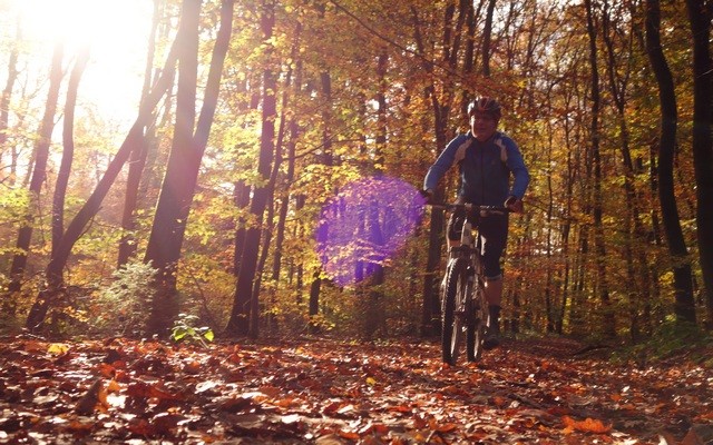 Claus im Herbstwald ...