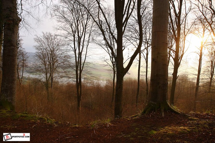 Auf diese Trails können wir uns freuen ...