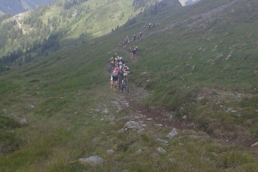 TransAlp 2015