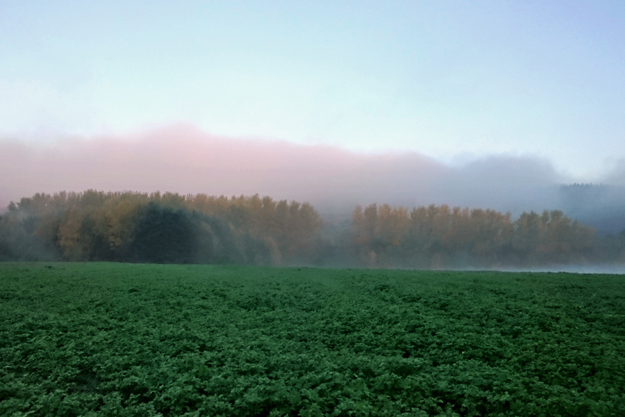 Herbstzauber Farbstimmungen