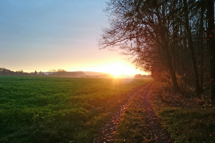 Sonnenaufgang über Michelbach