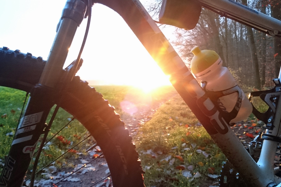 Die Sonne in den Speichen