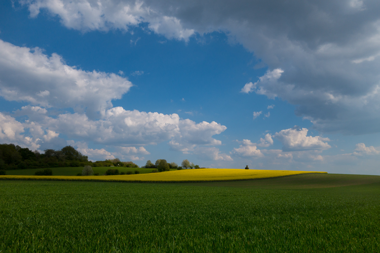Landschaft zum Träumen ...