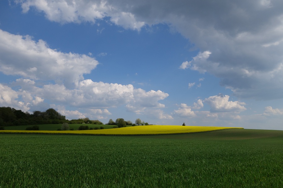 Impressionen vom Sommer ...