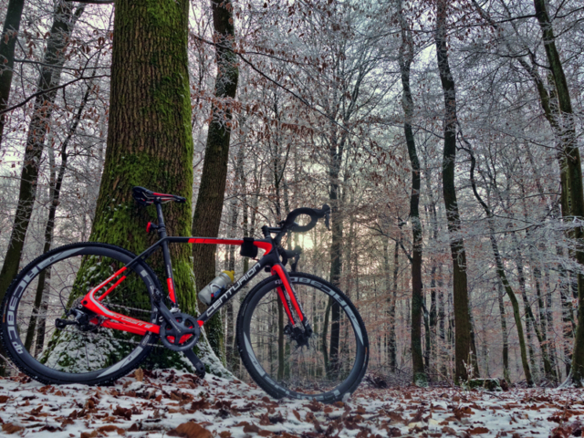 Mein Centurion im Märchenwald Centurion Crossfire Carbon