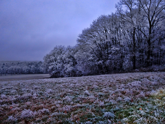 Es wird dunkel ... Winterlandschaft