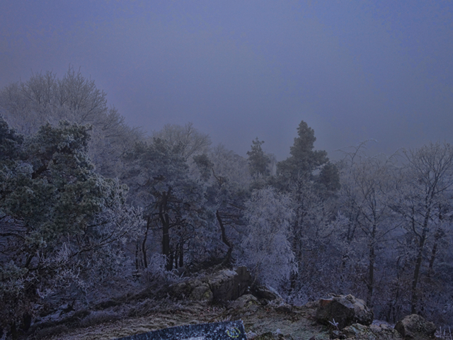 Litermont in Eis und Dunst ... Blick vom Litermont
