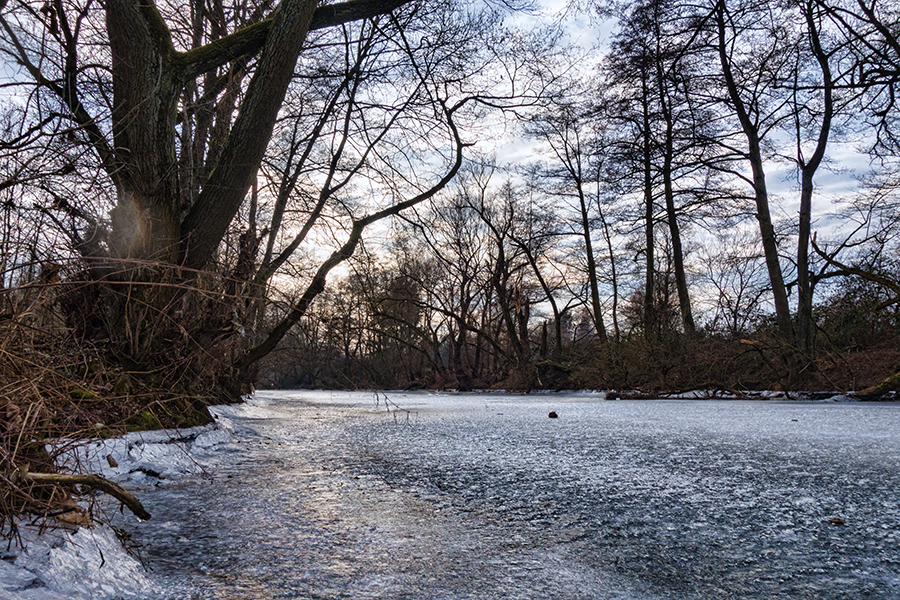 Die Prims mit Eisdecke ...
