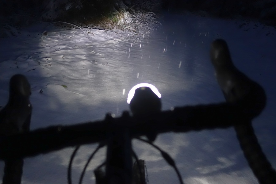 Schneetreiben im Lebacher Wald ...