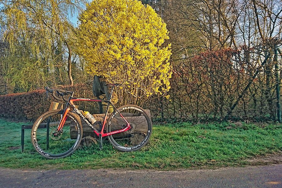 Blütenpracht am Golfplatz ...